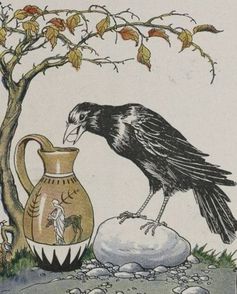 crow pitcher