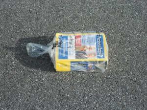 walk about 10 Feb 003