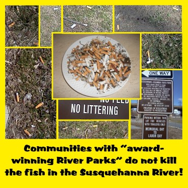 do not kill the fish