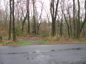 property 141 so 11th