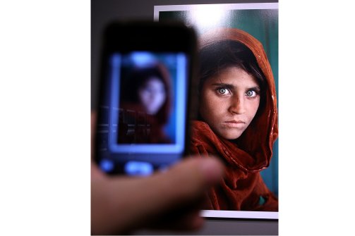 sharbat gula