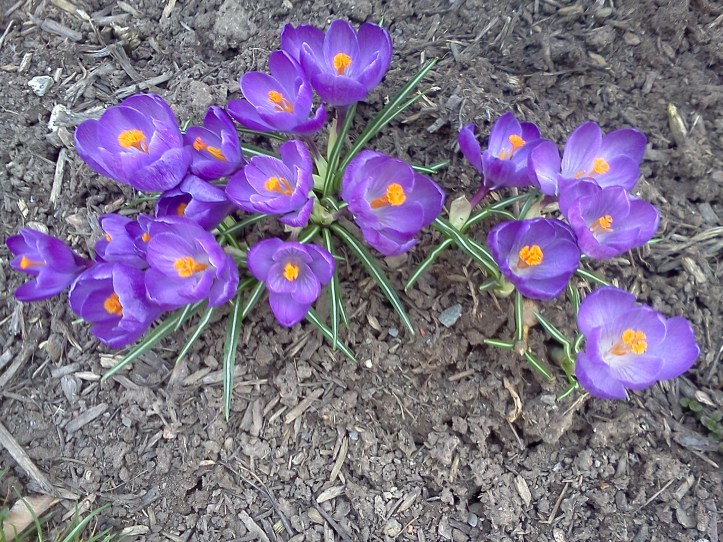 day of warm sunshine