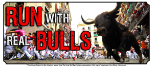 bulls