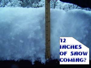 12 inches