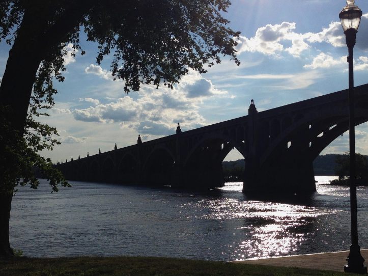 sgha pic of the week