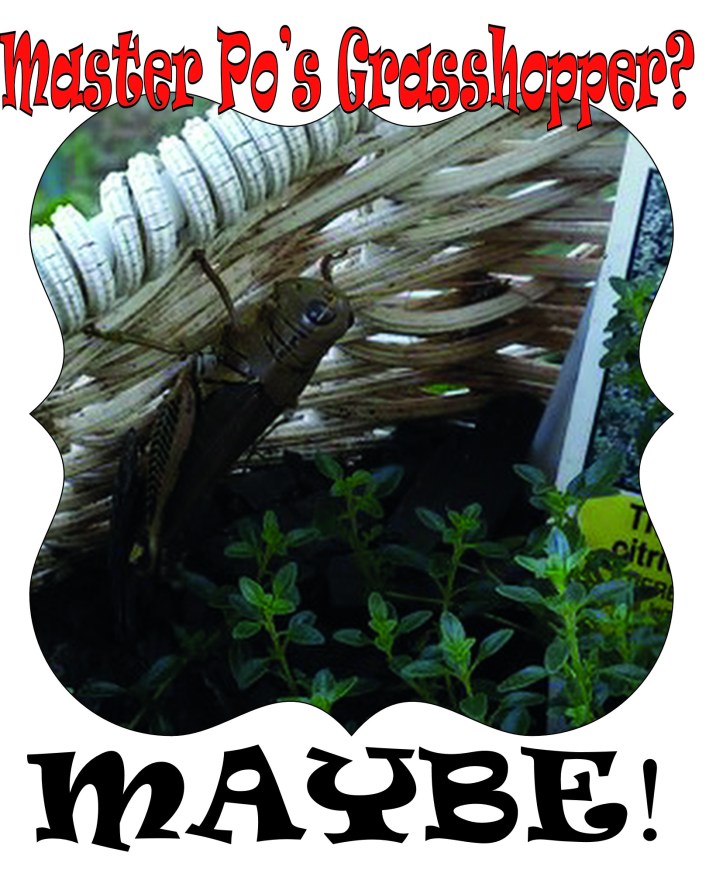master pos grasshopper
