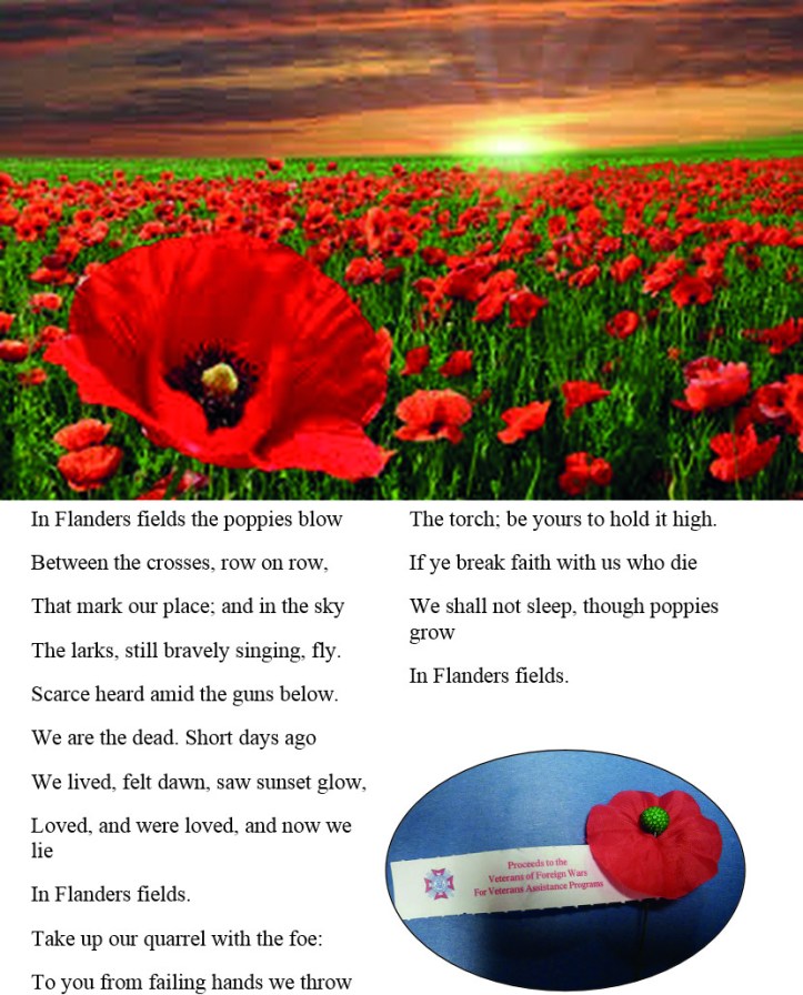 flanders field
