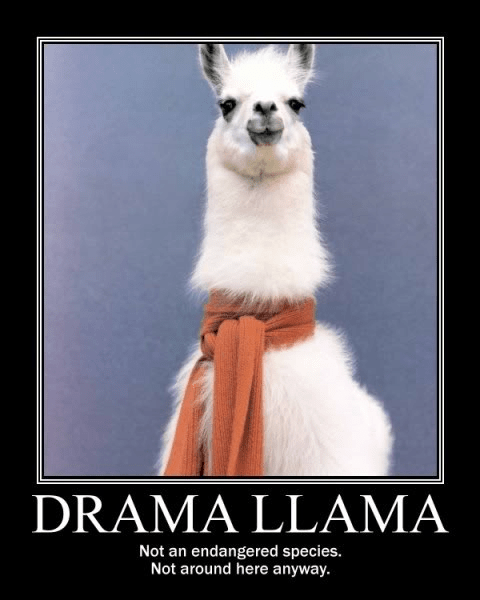 drama llama