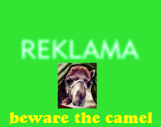 beware the camel