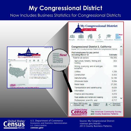 census bureau stat.pdf