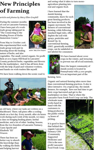 new-principles-of-farming
