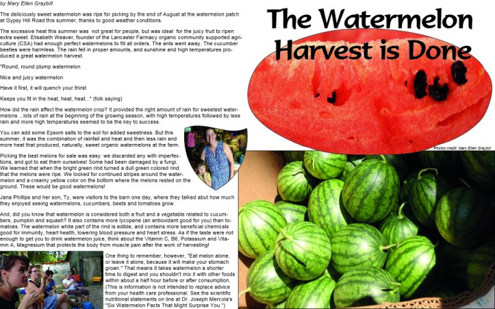 watermelon-article