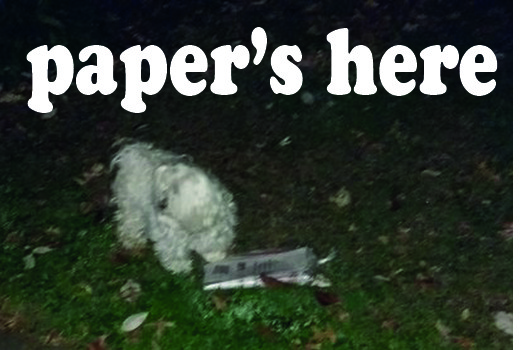 papers-here