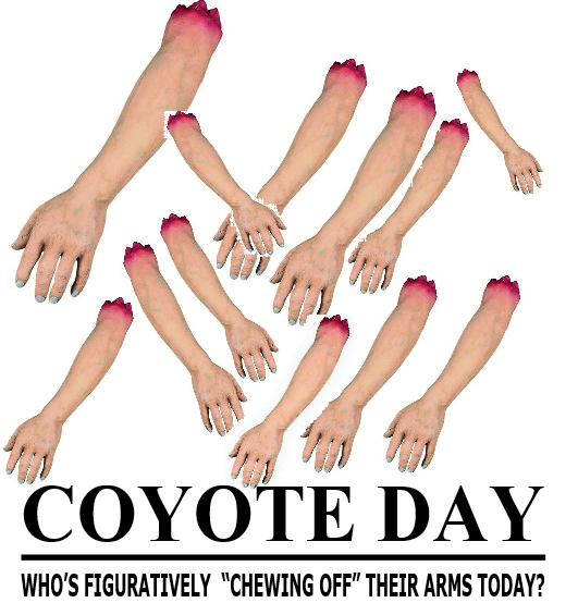 coyote-day-today