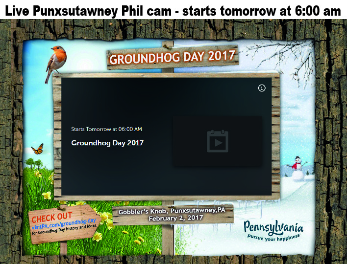 groundhog-cam
