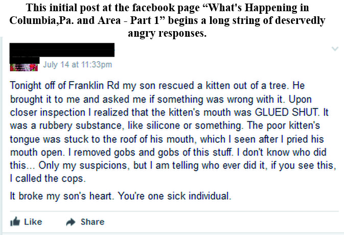 animal abuse fb post