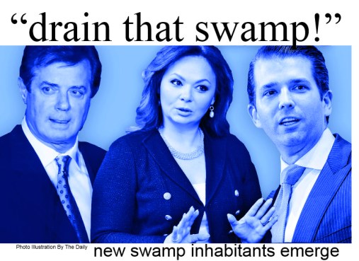 drain that swamp
