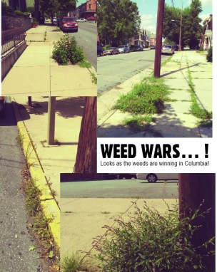 weed wars