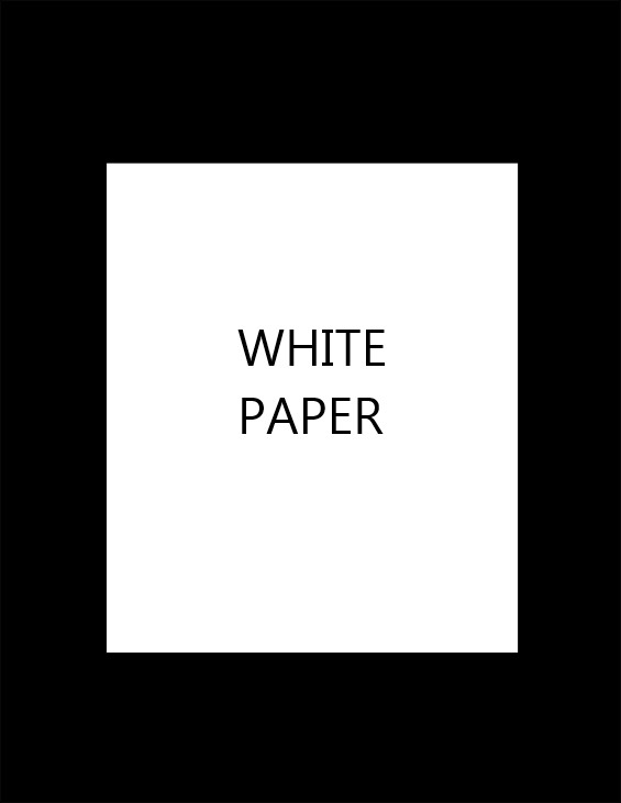 WHITE PAPER REPORT
