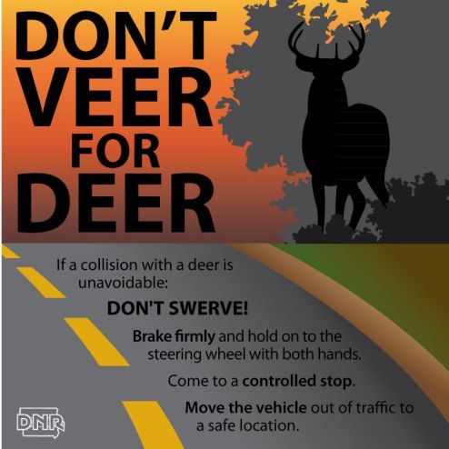 Don't-Veer-for-Deer-Facebook-2016