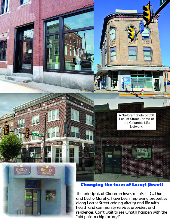 improving locust.jpg