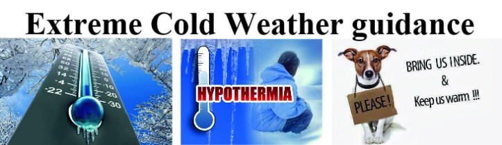 extreme cold guidance