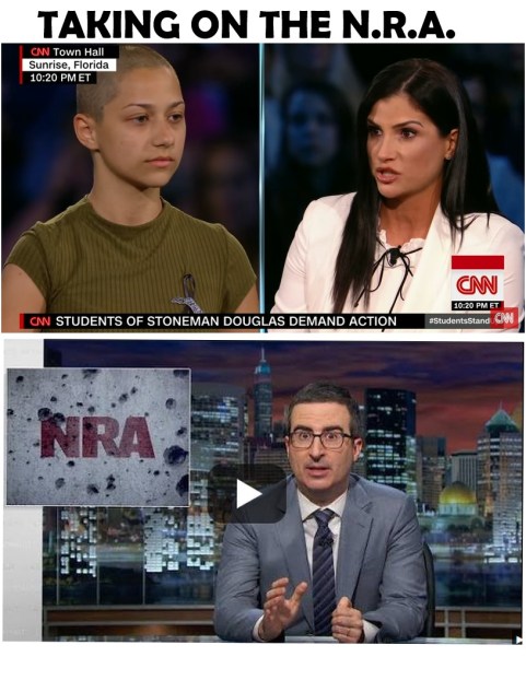 TAKING ON THE NRA