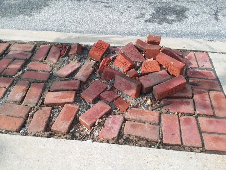 bricks
