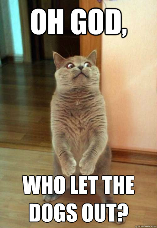 Oh-god-who-let-the-dogs-out