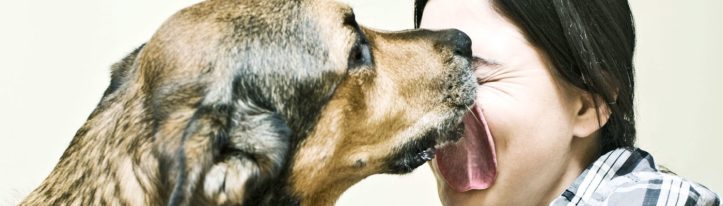 dog_licking_face