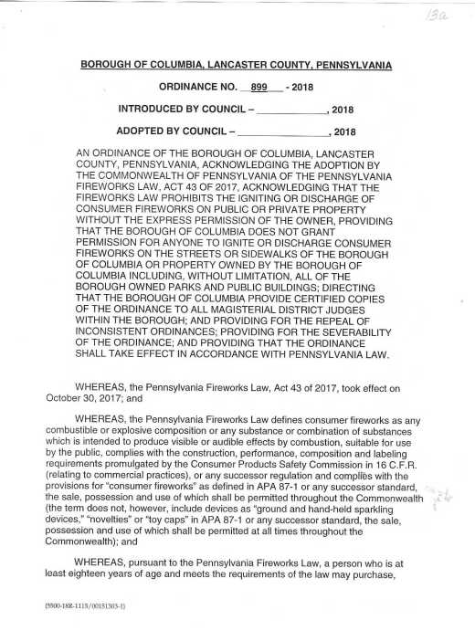 fireworks columbia0001