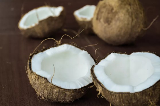 coconut