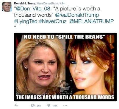 trump heidi cruz