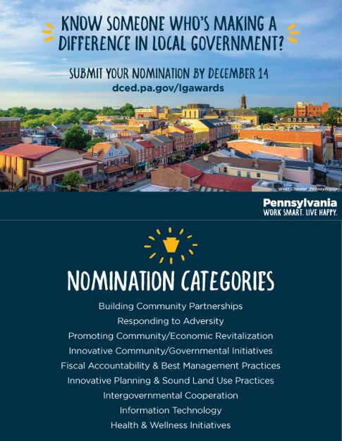 difference in local government