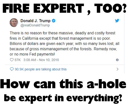 fire expert