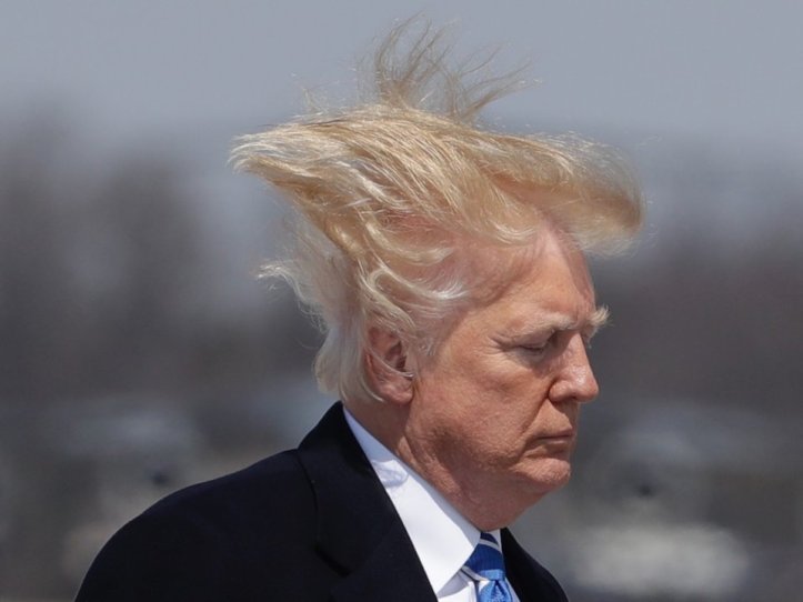 trump hair