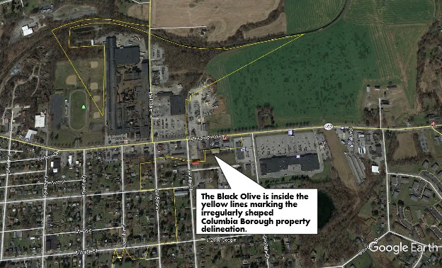 blackl olive in columbia