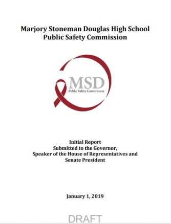 stoneman douglas report