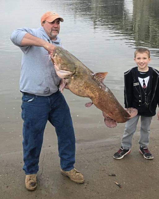 record catfish