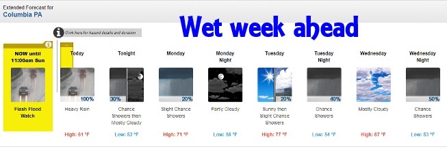 wet week