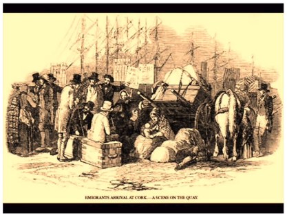 coming to america.jpg