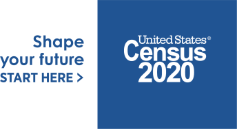 census 2020