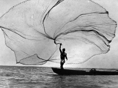 cast a wide net