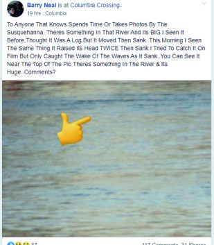 something in the river