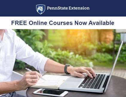 penn state online
