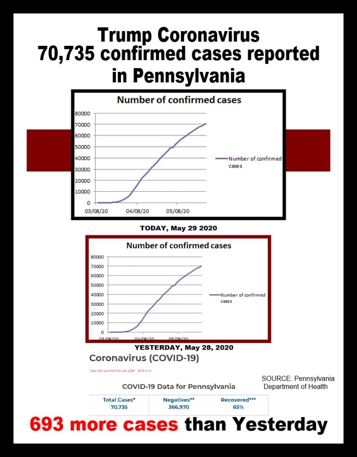covid-19 cases 05-29-2020