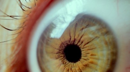 eyes