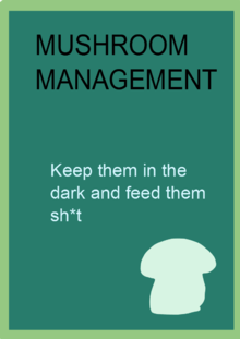 mushroom management