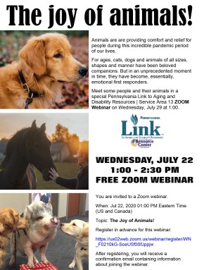 joy of animals draft