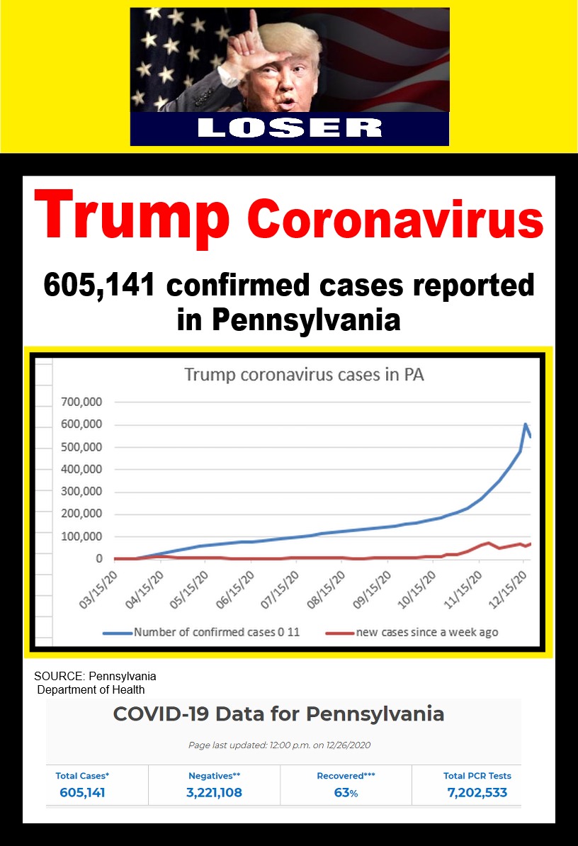 covid-19 cases 12-26-2020